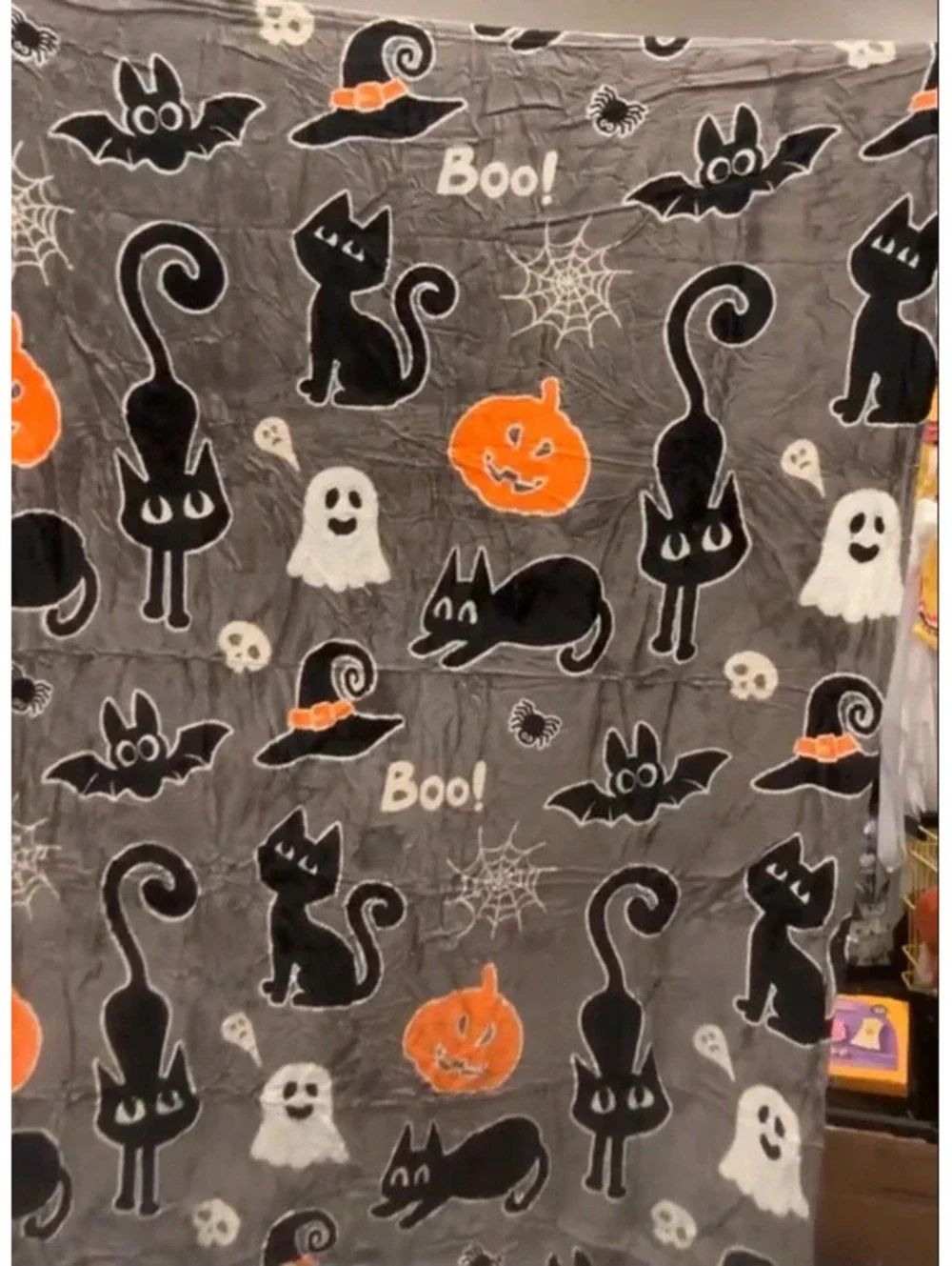 Halloween bundle! With glow in dark blanket read below